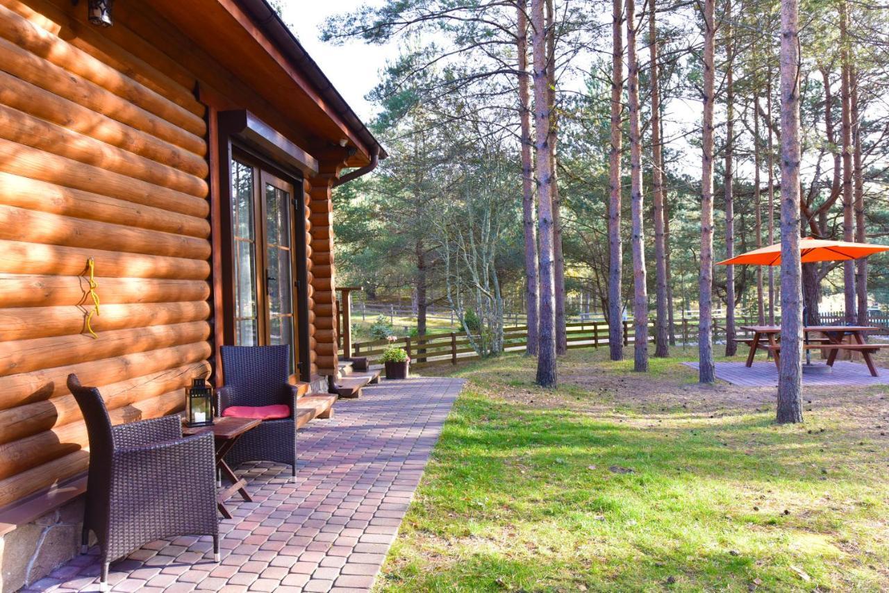 D&A Baltic Beach Villa Jurmalciems المظهر الخارجي الصورة
